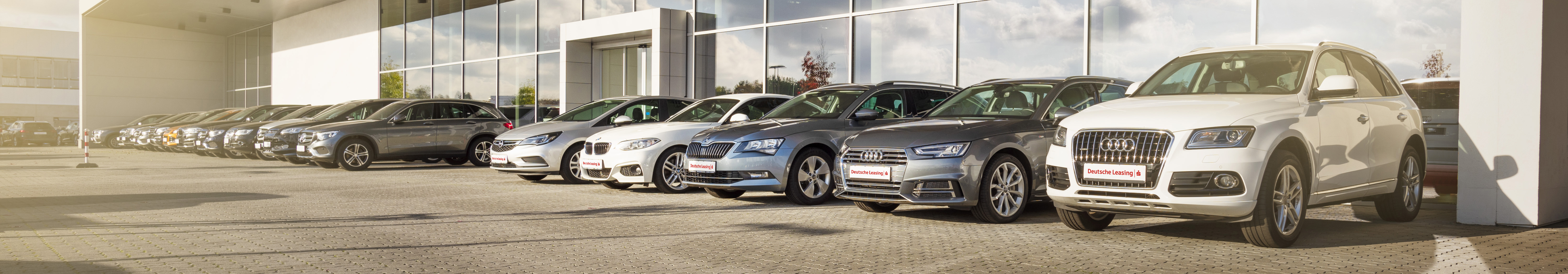 Auto des Monats Großer Fuhrpark-1-DLF_6550x1146.jpg